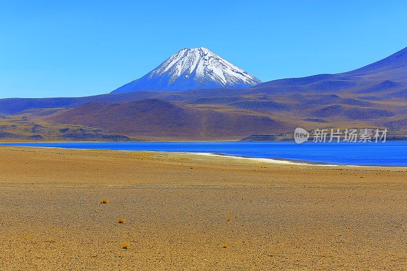 Lagunas Miñiques和Miscanti -湖泊和雪顶火山山-绿松石湖和田园般的阿塔卡马沙漠，火山景观全景-圣佩德罗阿塔卡马，智利，Bolívia和阿根廷边境